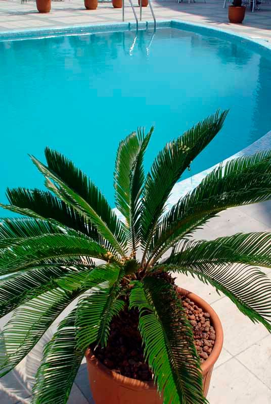 ПАРК-ОТЕЛЬ АНАПА, отель - 11