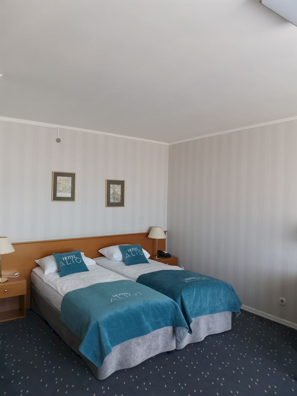 АЛИОТ, гостиница - 10