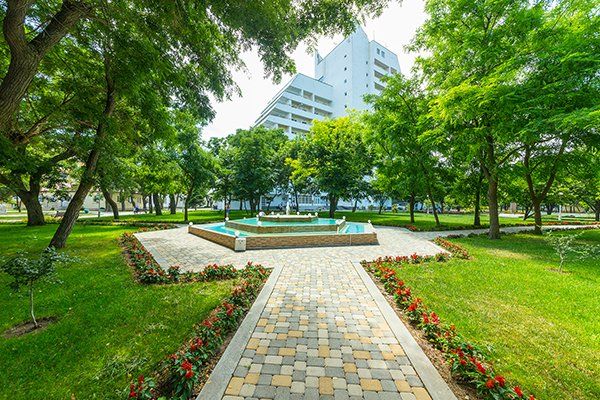 Картинка отеля - 33