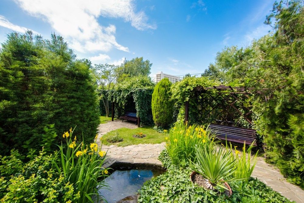 АНАПА ЛАЗУРНАЯ, пансионат - 20