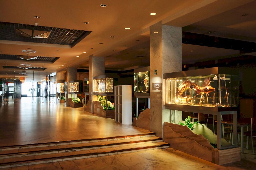 COSMOS SAINT-PETERSBURG PRIBALTIYSKAYA HOTEL (бывш. PARK INN PRIBALTIYSKAYA), гостиница - 11