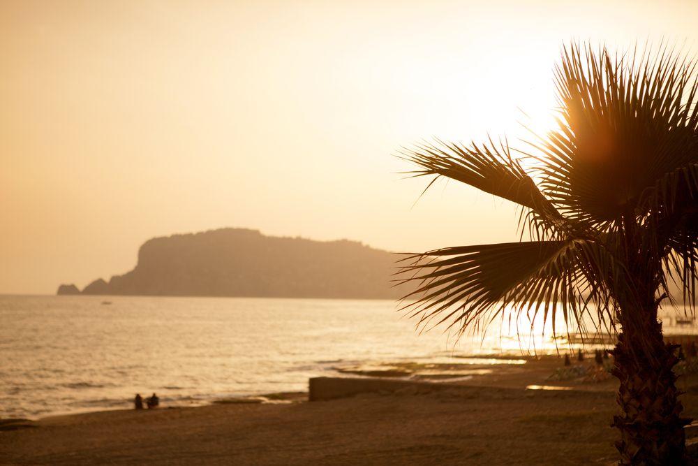 Sunprime C-Lounge (only adults 16+) - 8