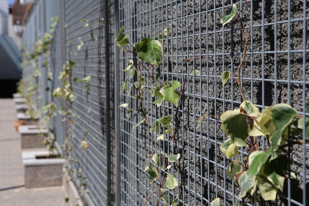 Sunprime C-Lounge (only adults 16+) - 4