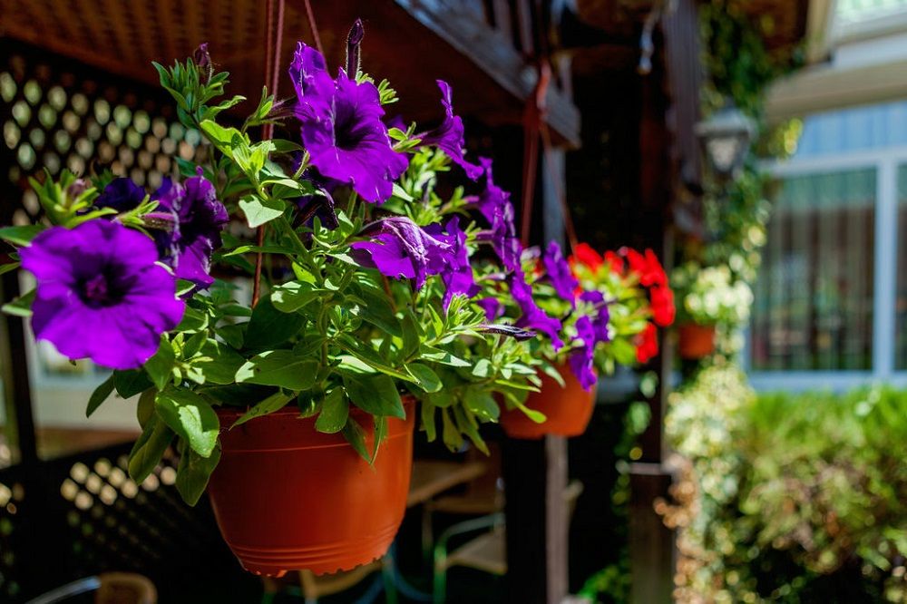 КРИСТАЛЛ УЮТ, пансионат - 10