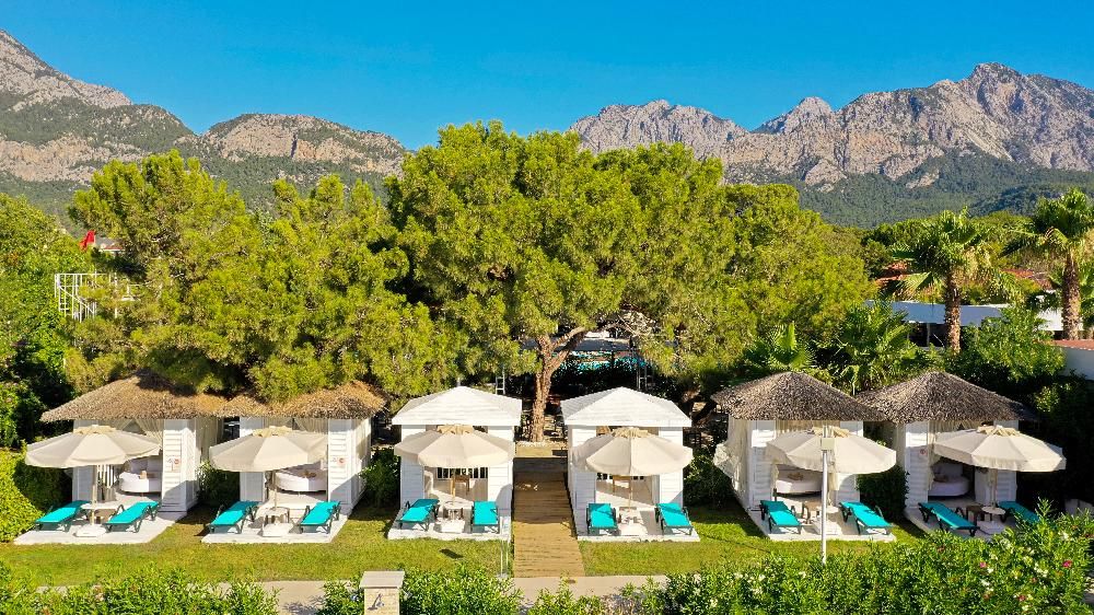 Crystal Prestige Pearl Collection - 29