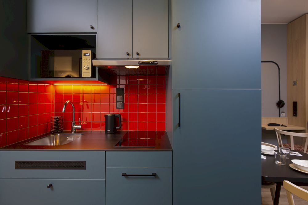 DOMINA ПУЛКОВО АПАРТ-ОТЕЛЬ - 28