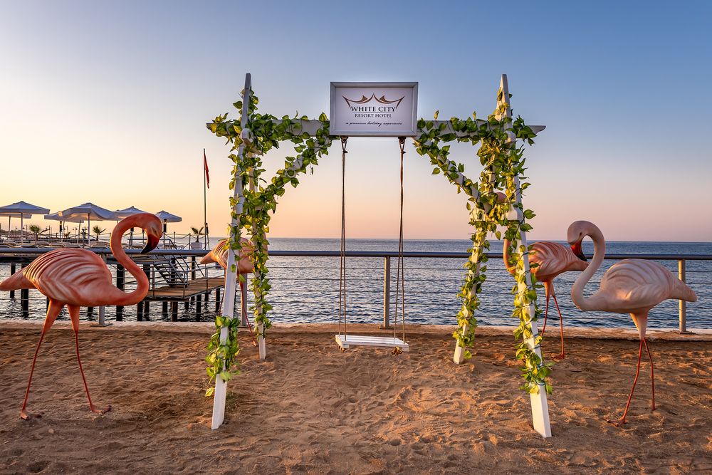 Картинка отеля - 43