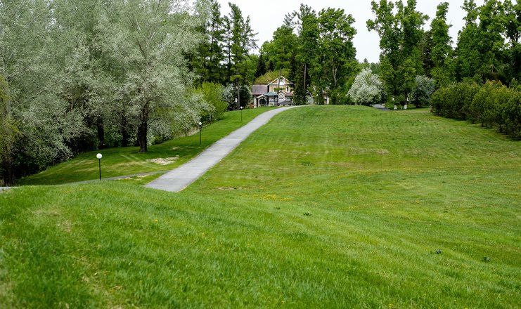 СОСНОВЫЙ БОР, санаторий - 6