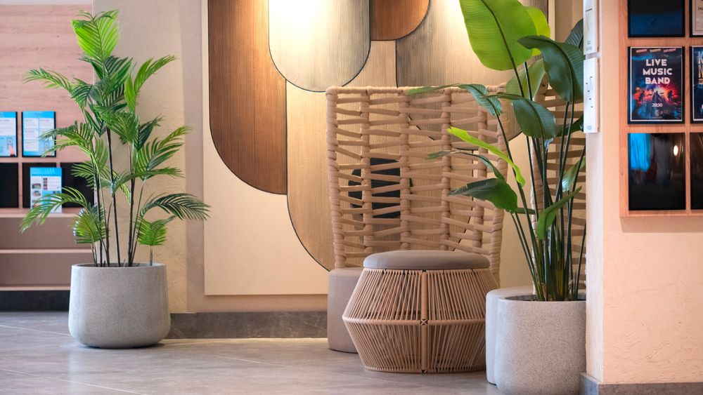 Kleopatra Dreams Beach - 30