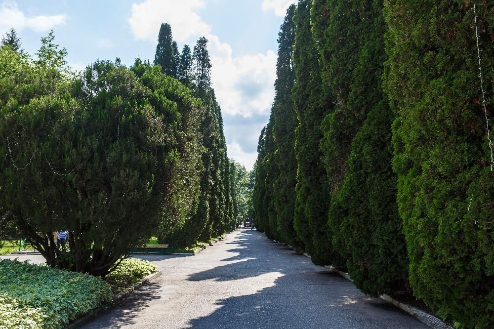 Картинка отеля - 29