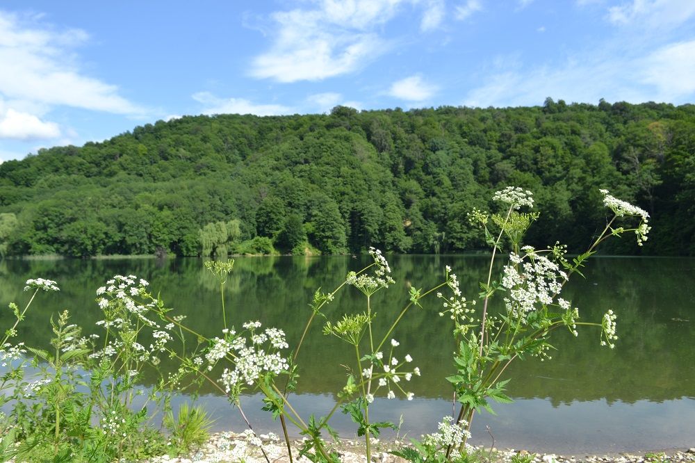 ЦЕНТРОСОЮЗ-ЕССЕНТУКИ, санаторий (размещение с 2 лет, лечение с 4 лет) - 44