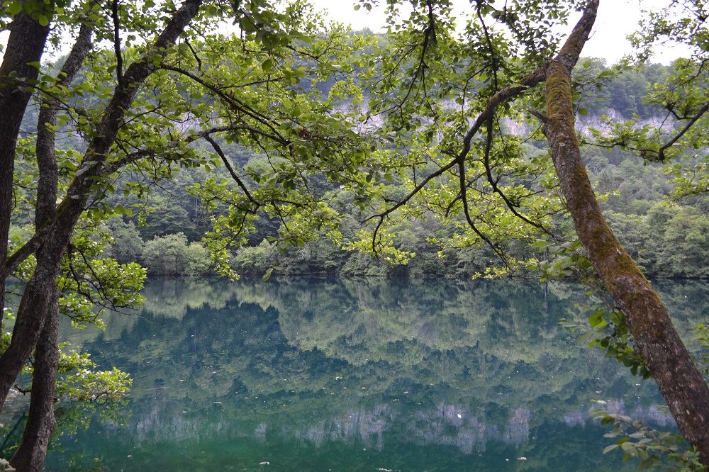 ЦЕНТРОСОЮЗ-ЕССЕНТУКИ, санаторий (размещение с 2 лет, лечение с 4 лет) - 42