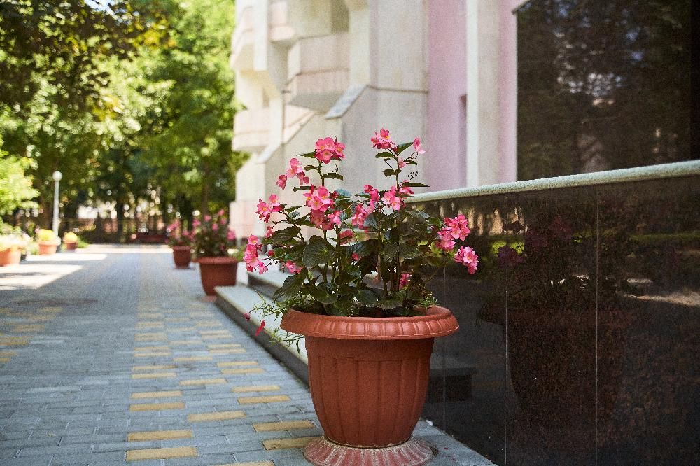 ЦЕНТРОСОЮЗ-ЕССЕНТУКИ, санаторий (размещение с 2 лет, лечение с 4 лет) - 13