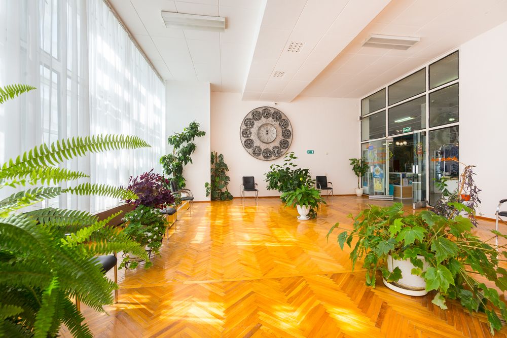 Картинка отеля - 14