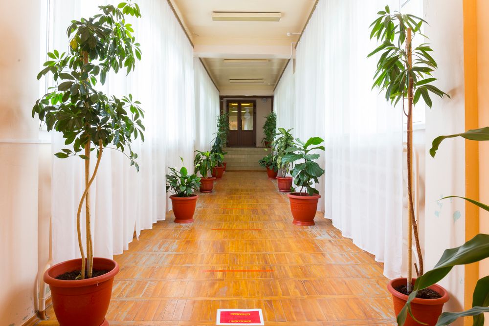 Картинка отеля - 28