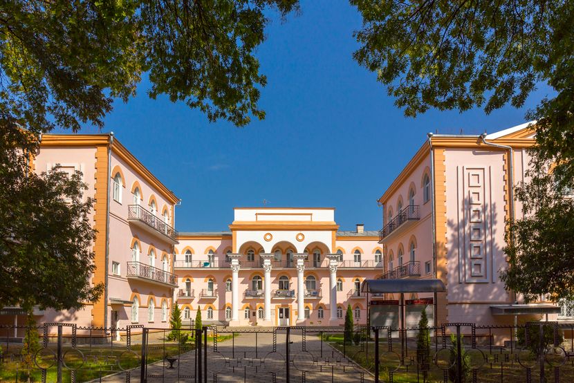 ЦЕЛЕБНЫЙ КЛЮЧ, санаторий (лечение с 4х лет) - 4