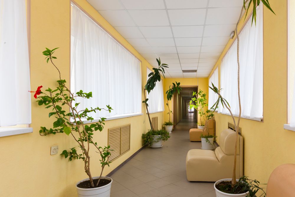 Картинка отеля - 20