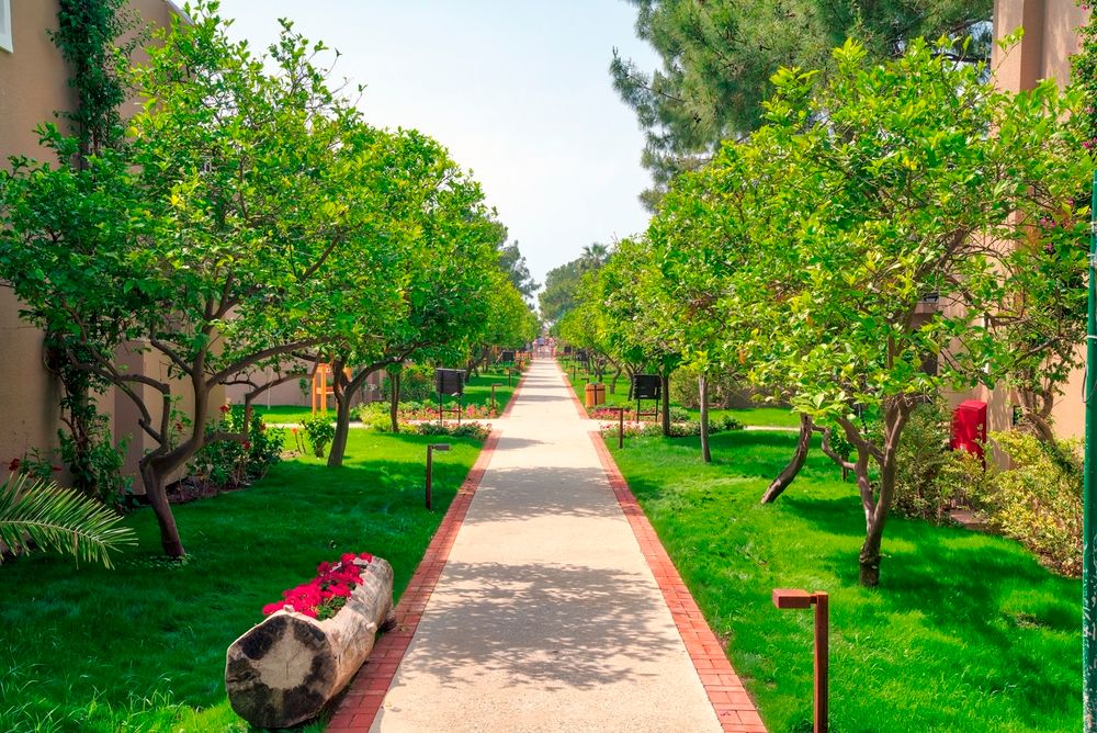 Pirates Beach Club HV - 9