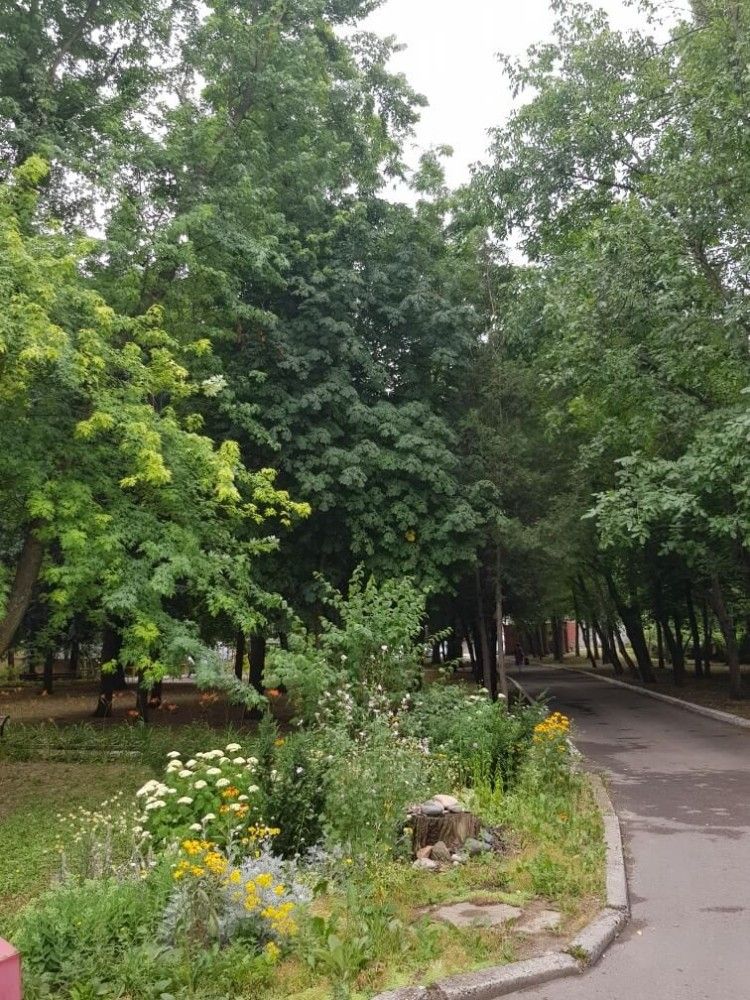 Картинка отеля - 28