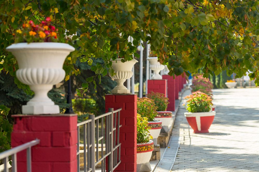 ВИКТОРИЯ, санаторий (размещение детей с 4 лет) - 9