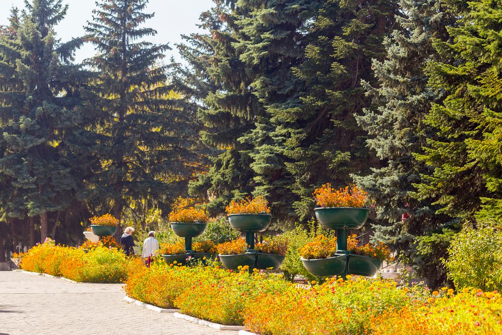 ВИКТОРИЯ, санаторий (размещение детей с 4 лет) - 8