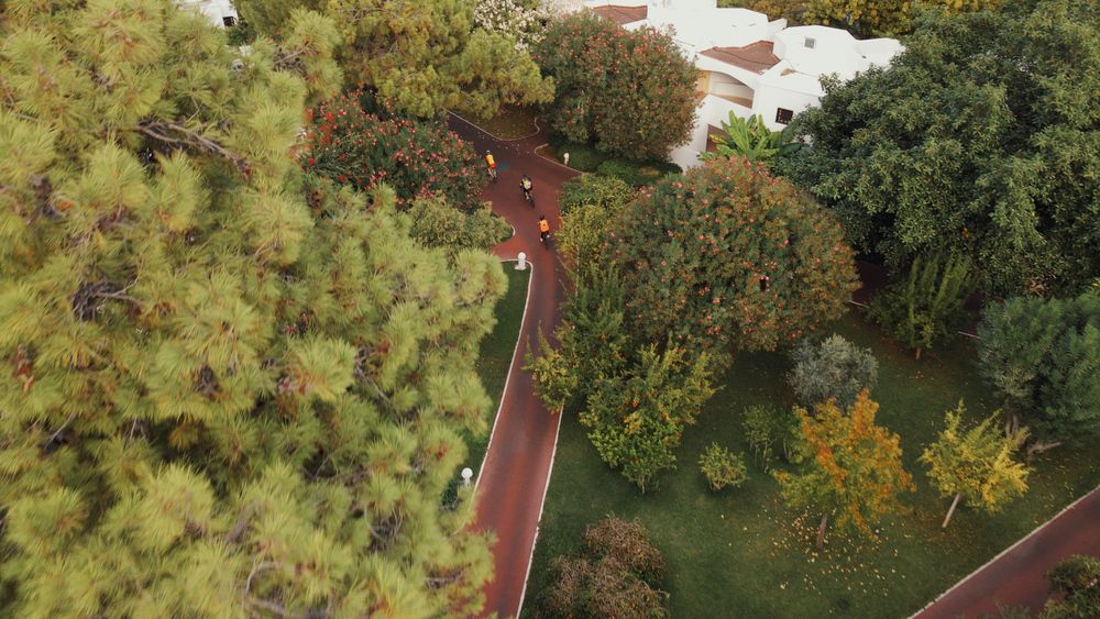 Emelda Sun Club - 46