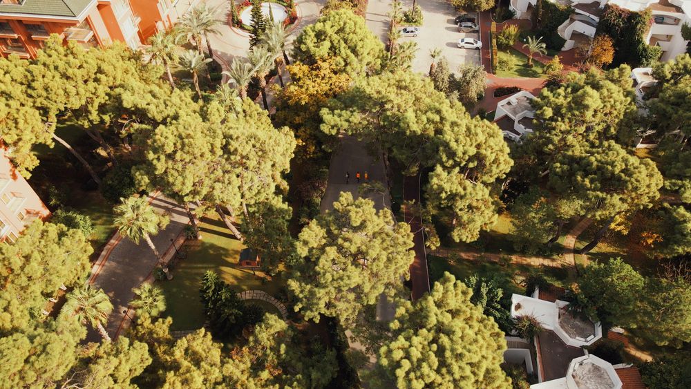 Emelda Sun Club - 10