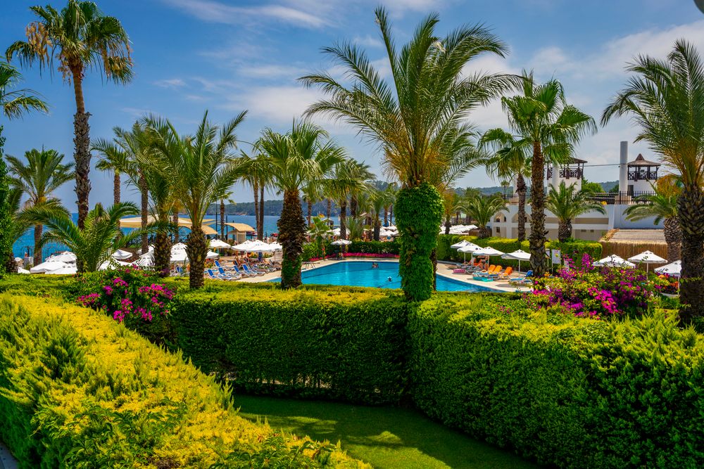 Картинка отеля - 20