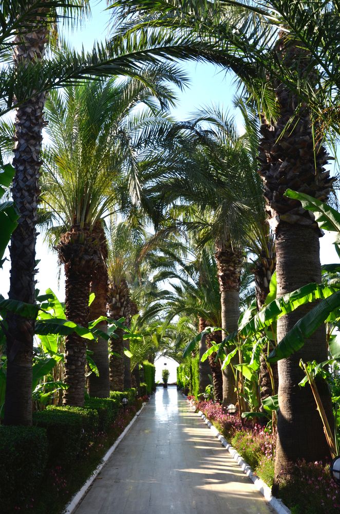 Картинка отеля - 19