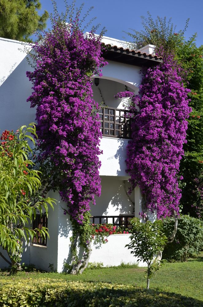 Картинка отеля - 22