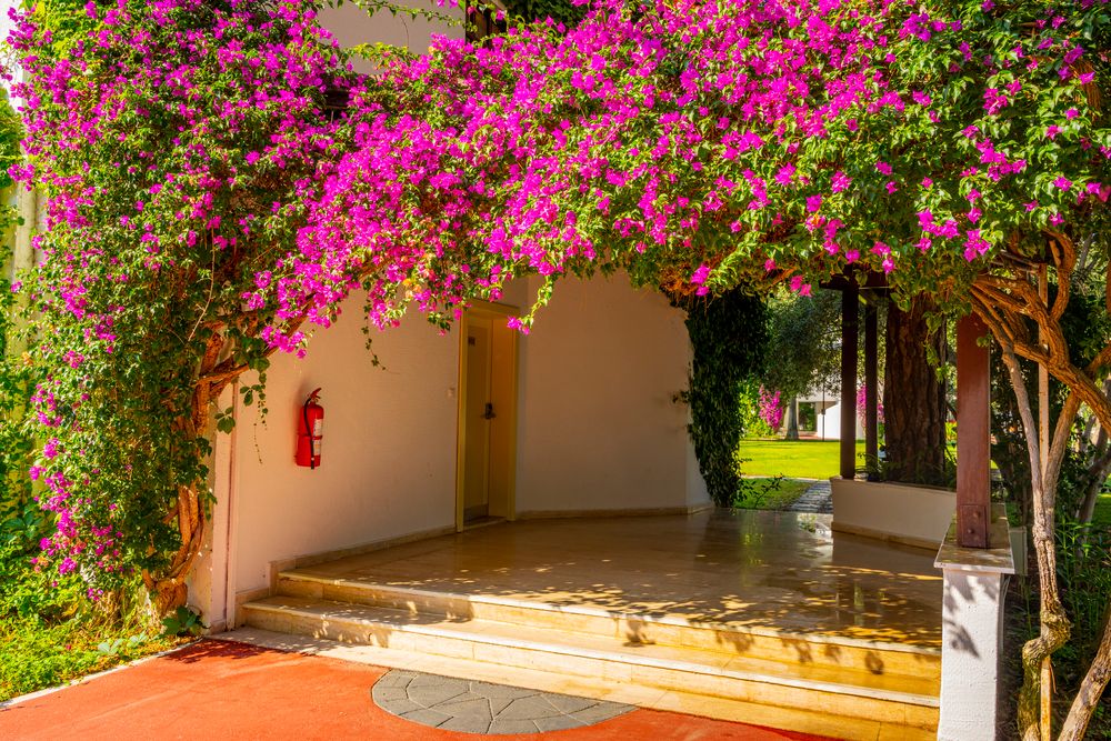 Emelda Sun Club - 21