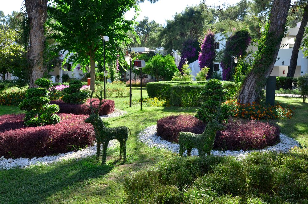 Emelda Sun Club - 17