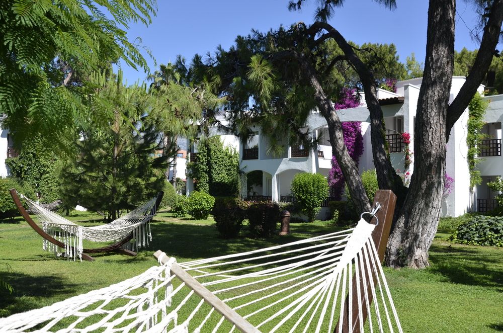 Картинка отеля - 18