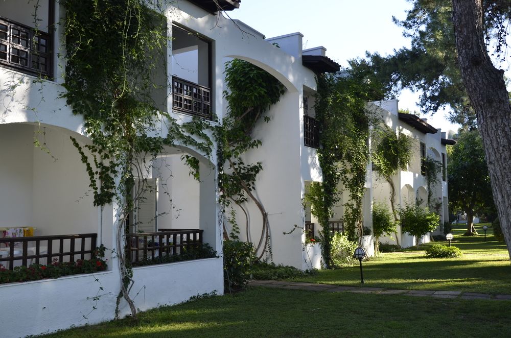 Emelda Sun Club - 16