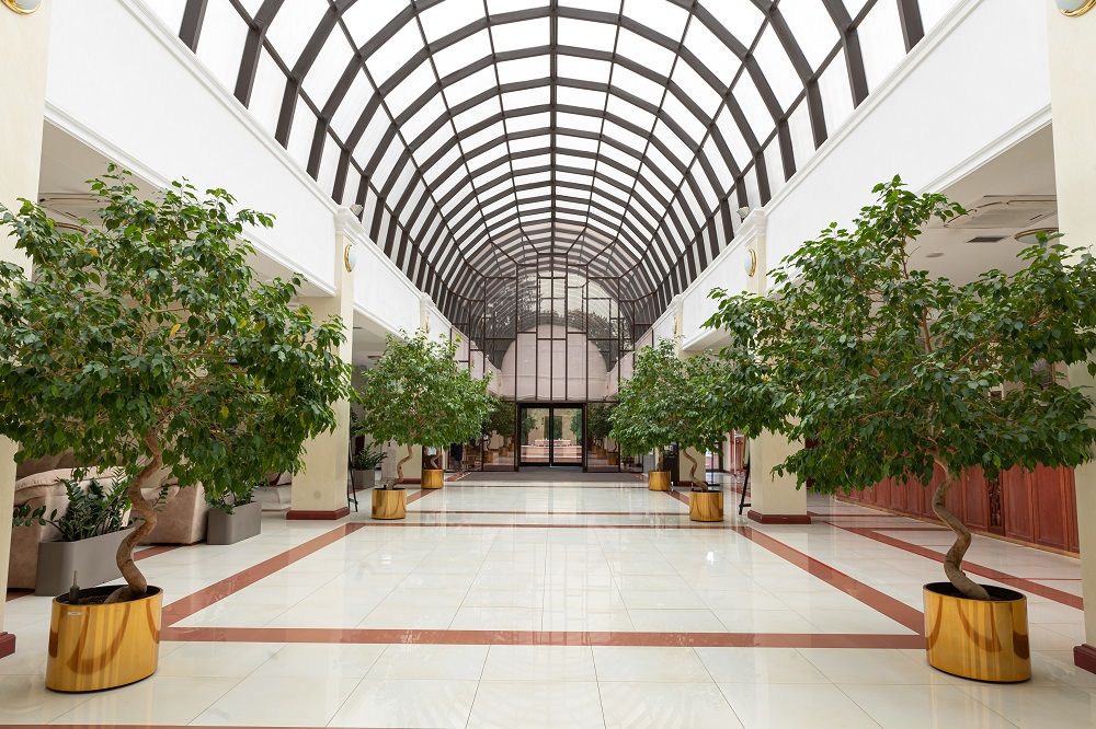 СИНДИКА, спа-отель - 2