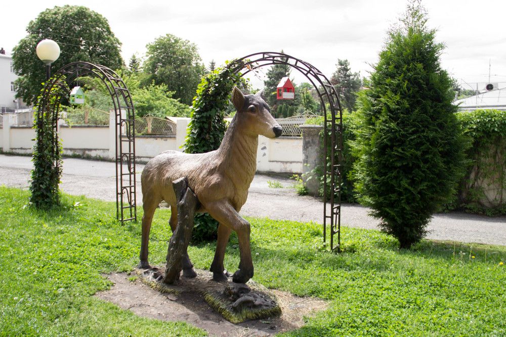 Картинка отеля - 6