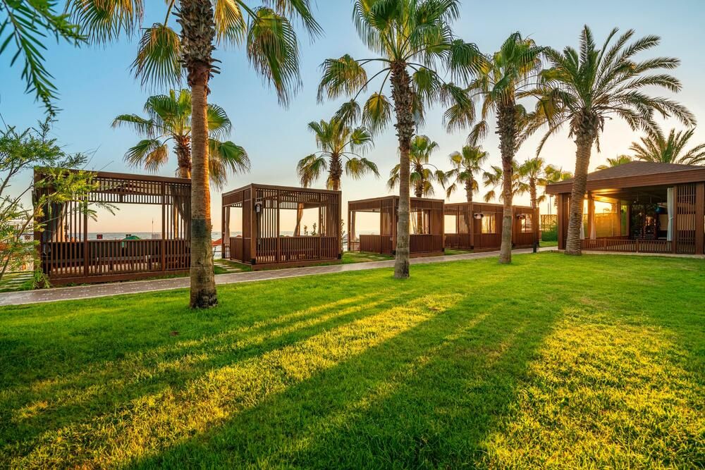 Sidera Kirman Premium - 9