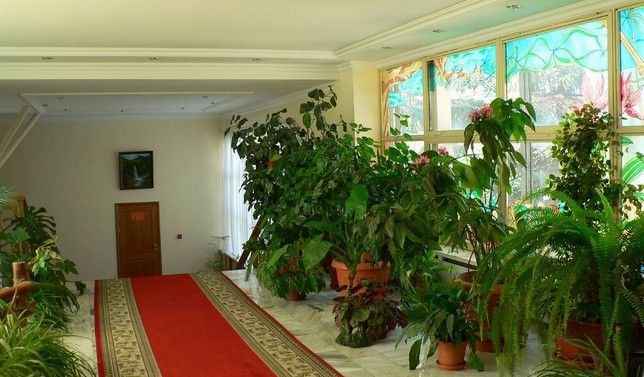 Картинка отеля - 22