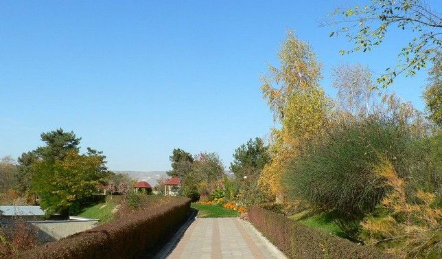 Картинка отеля - 11