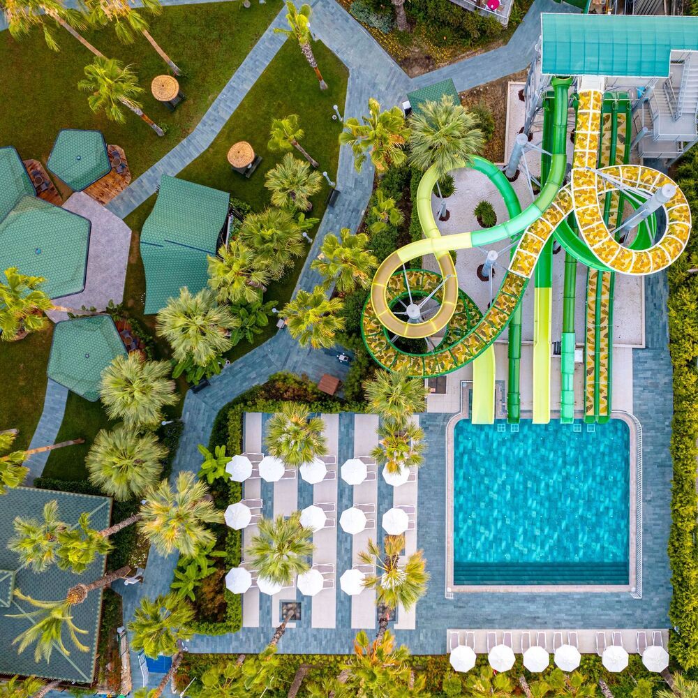 Leodikya Kirman Premium - 74