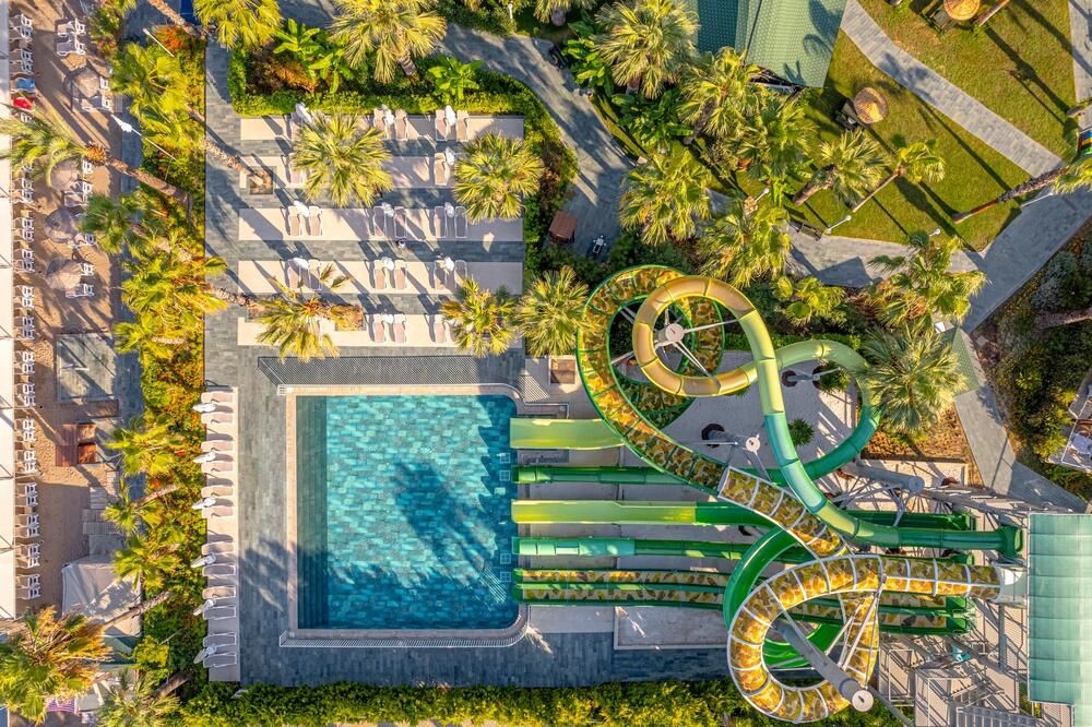 Leodikya Kirman Premium - 73