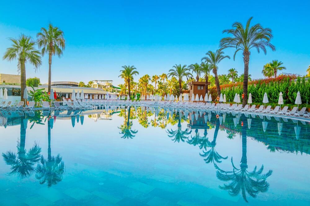 Leodikya Kirman Premium - 22