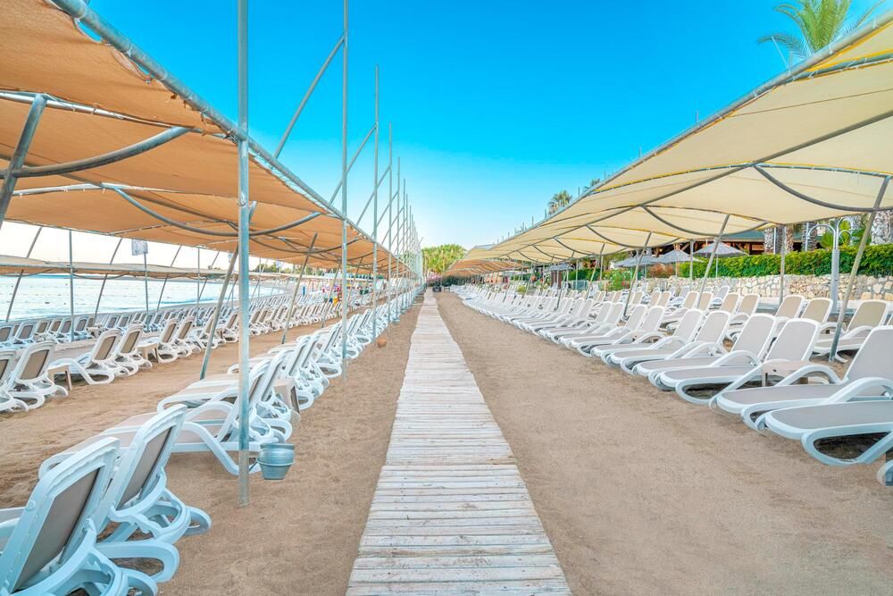 Leodikya Kirman Premium - 20