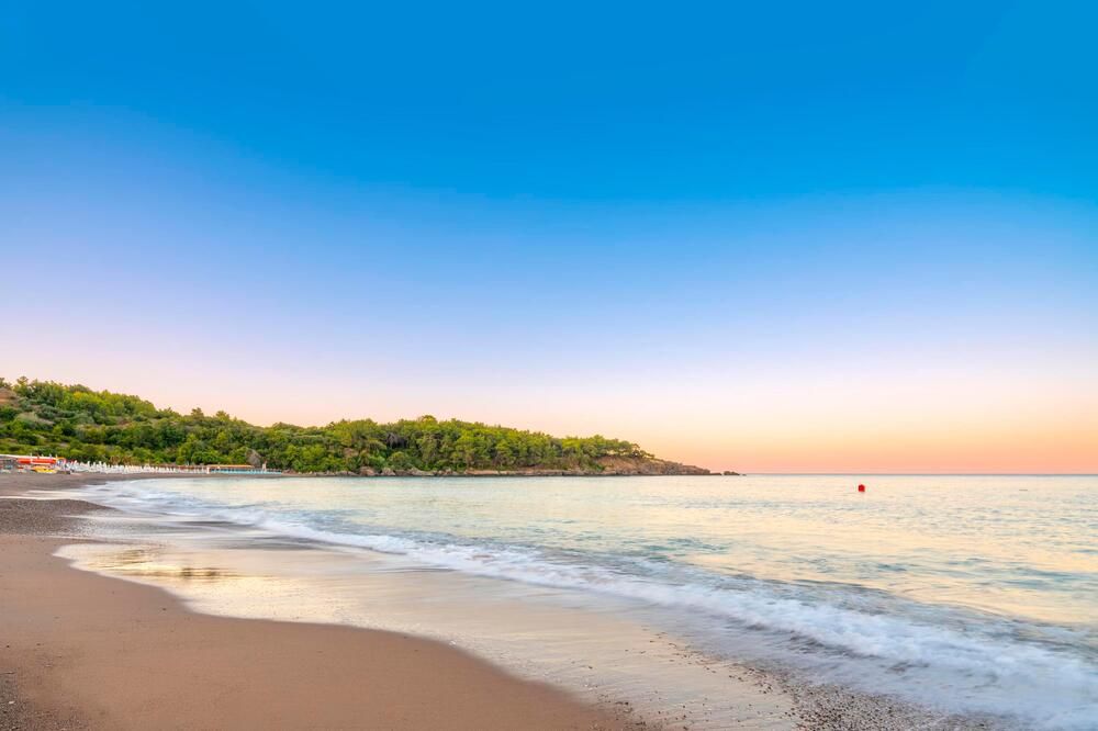 Leodikya Kirman Premium - 19