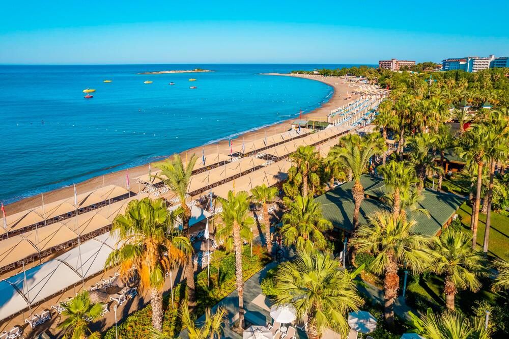 Leodikya Kirman Premium - 17