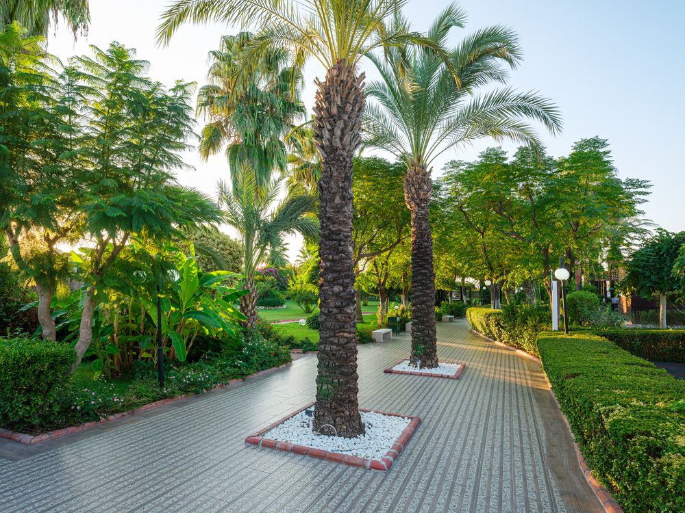 Картинка отеля - 7