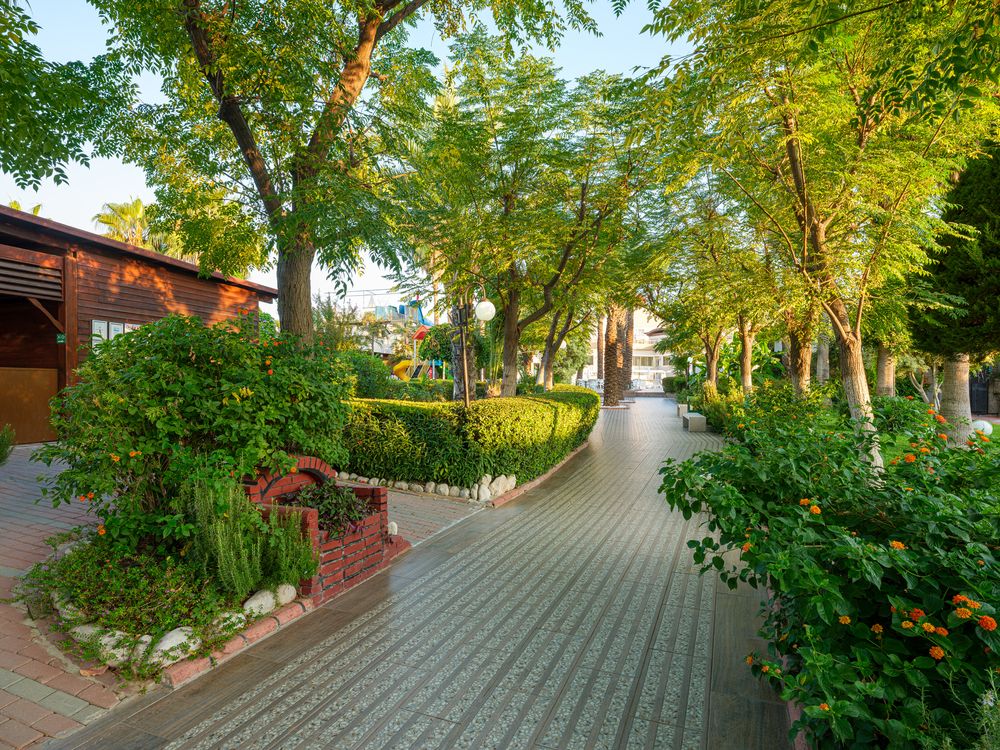 Картинка отеля - 6