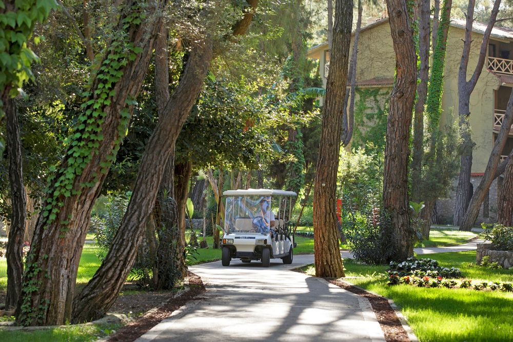 Картинка отеля - 9