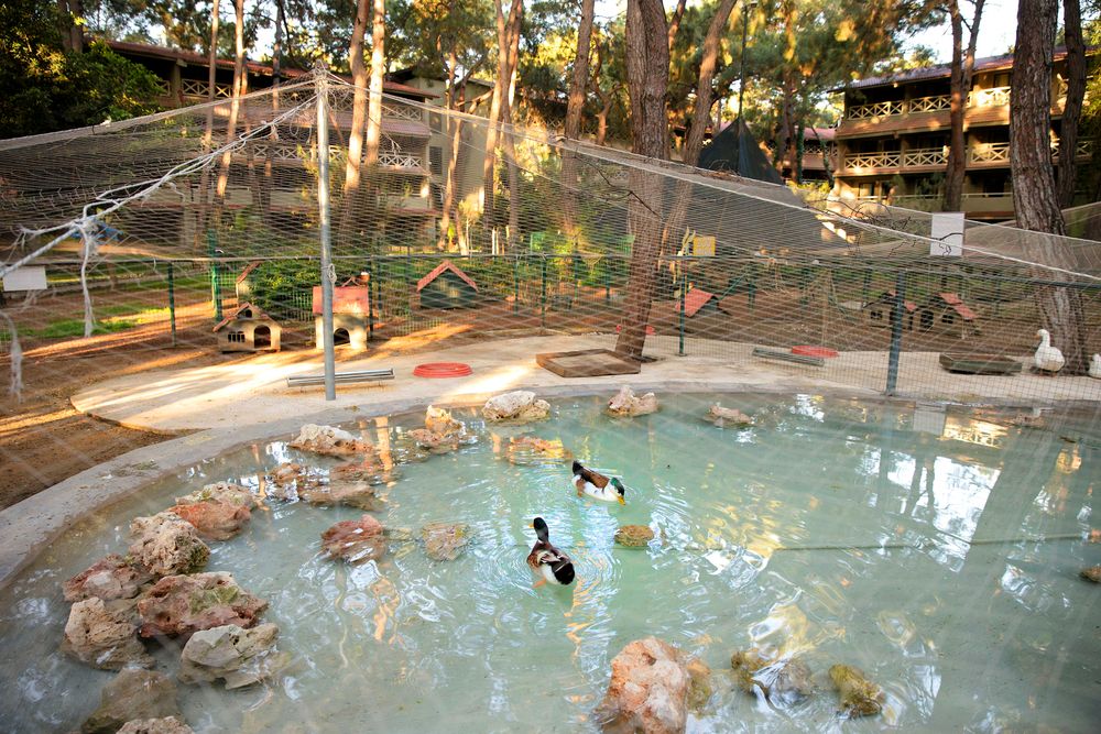 Картинка отеля - 8