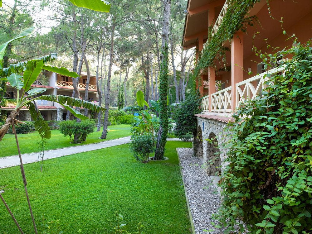 Картинка отеля - 5